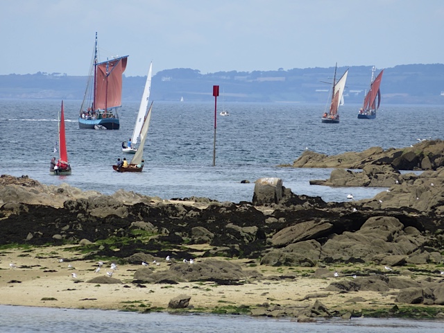 Douarnenez.jpg